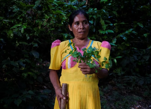 Guatemala's Drought-Induced Hunger Addressed by Sustainable Farming Initiative