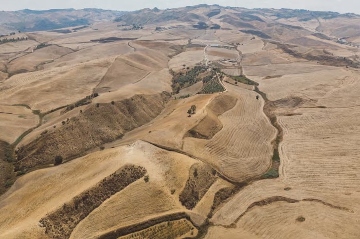 "Sicily's Agricultural Heritage at Risk as Drought Turns Land into Desert"