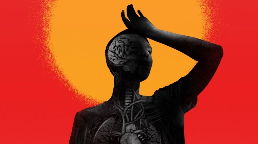 Heat Pushes Human Limits: How It Claims Lives