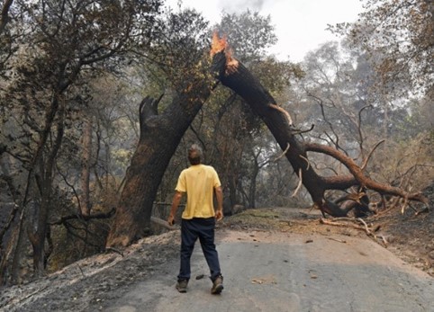 Wildfires Are Increasing Due to Climate Change, and Their Smoke Poses Serious Threats to Farmworkers, Study Reveals
