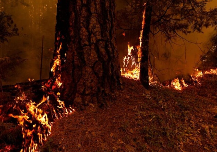 Massive Wildfire in Northern California Becomes Largest in the U.S.