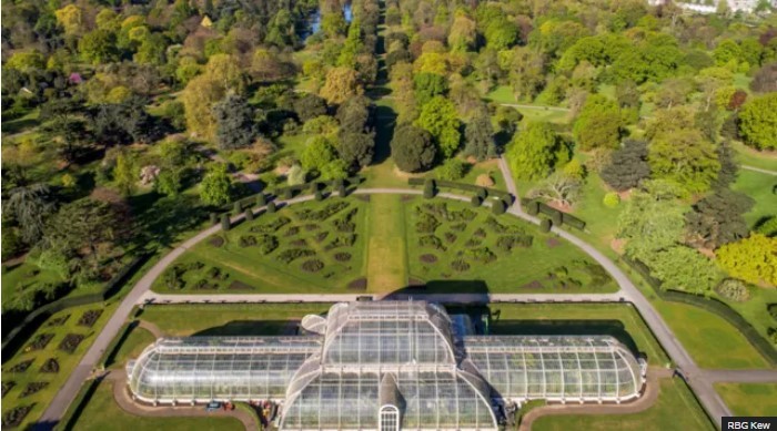 Kew Gardens Braces for Potential Tree Loss Due to Climate Change