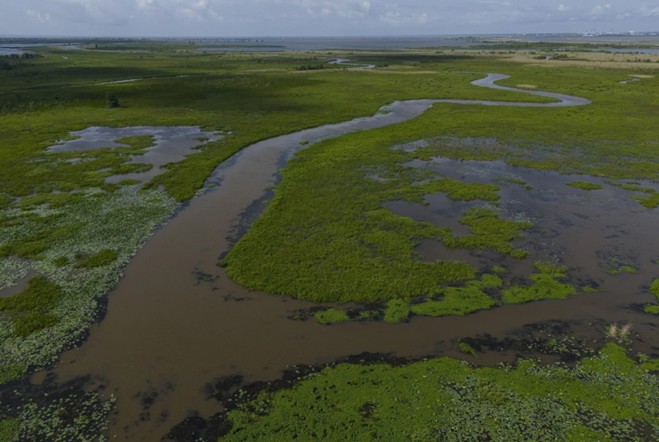 Conservationists Strive to Shield Alabama's Ecologically Rich Delta from Development and Climate Change