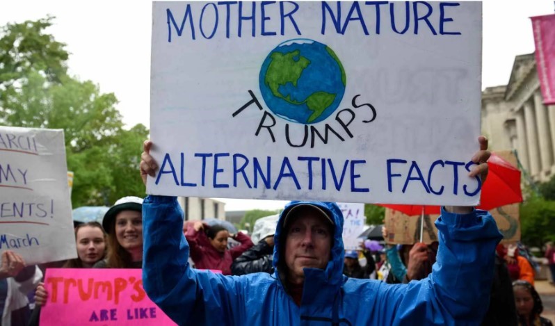 Don't lose hope: Climate experts on how to keep your head up after Trump victory