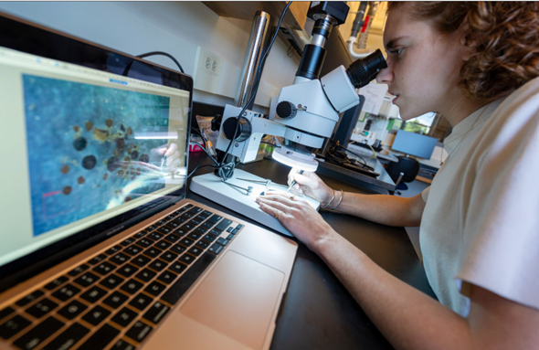 Ancient Tundra Ecosystem Unveiled Under Greenland's Ice Sheet