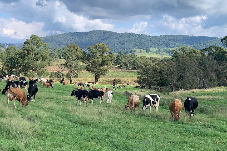 Bega's Ambitious Plan for a Circular Economy by 2030