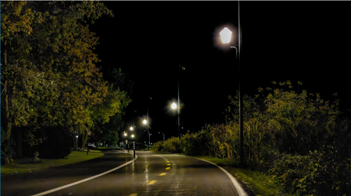Streetlights Disrupting Natural Ecosystems, New Study Shows