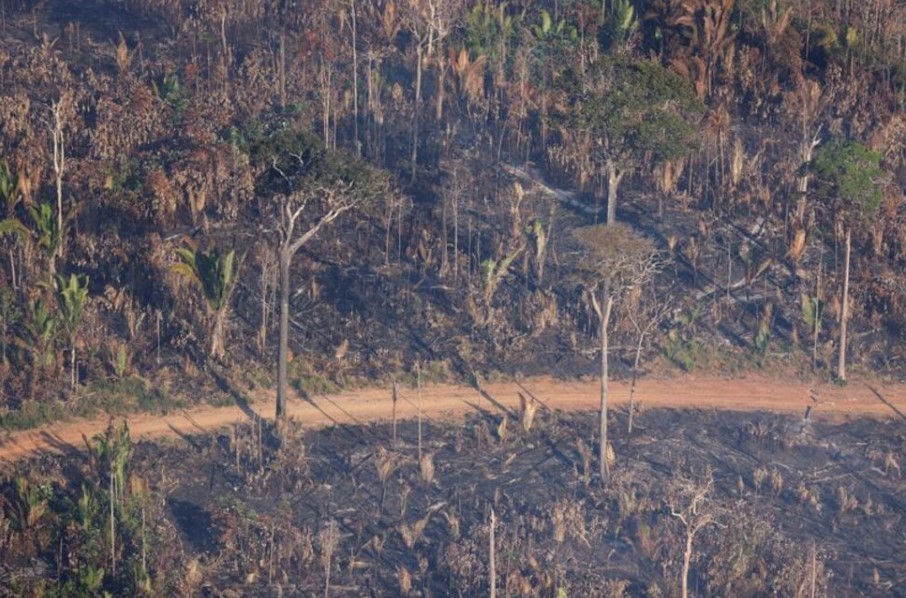 Global Companies Call for Stronger Government Action to Halt Nature Loss