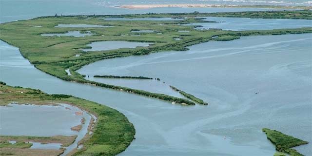 'The Sea Has Taken Everything': Italy's Po River Delta Reclaimed by the Adriatic