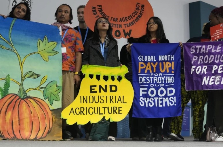 At UN climate talks, farmers argue for a share of money dedicated to fighting climate change