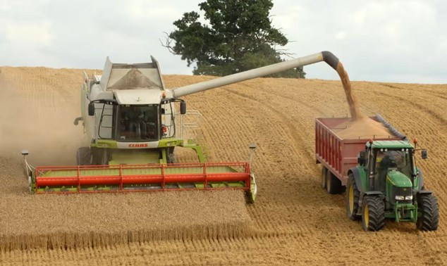 The harvest in England is the second worst on record due to excessive rainfall