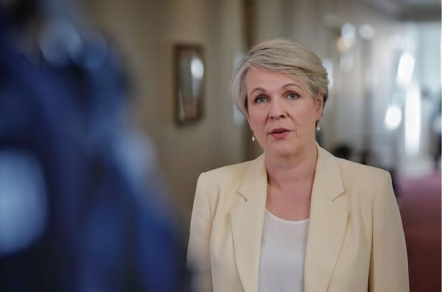 Plibersek shares the rationale behind the suspension of the $1 billion McPhillamy's gold mine project located near Blayney