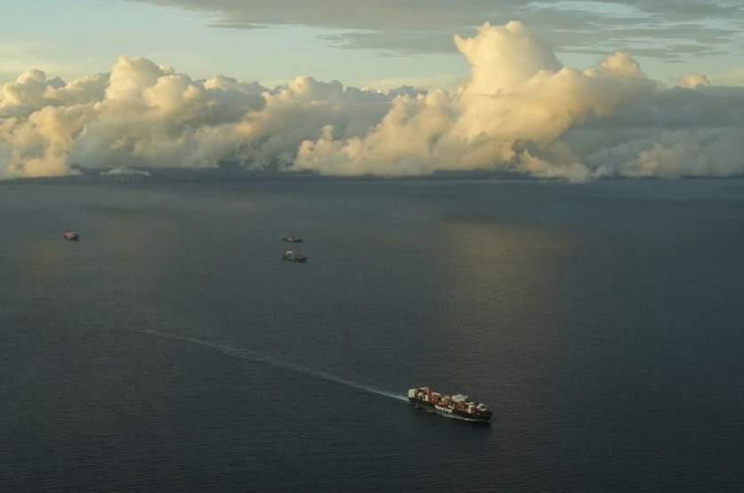 The leader of the global shipping regulatory body has stated that the sector needs to increase efforts to reduce carbon emissions