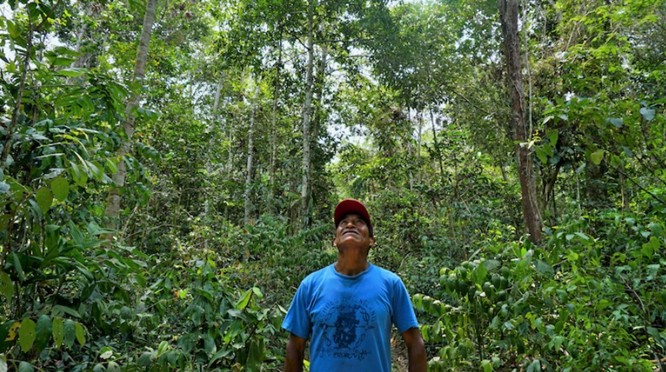 The United Nations has authorized protections for carbon markets to safeguard the environment and human rights.