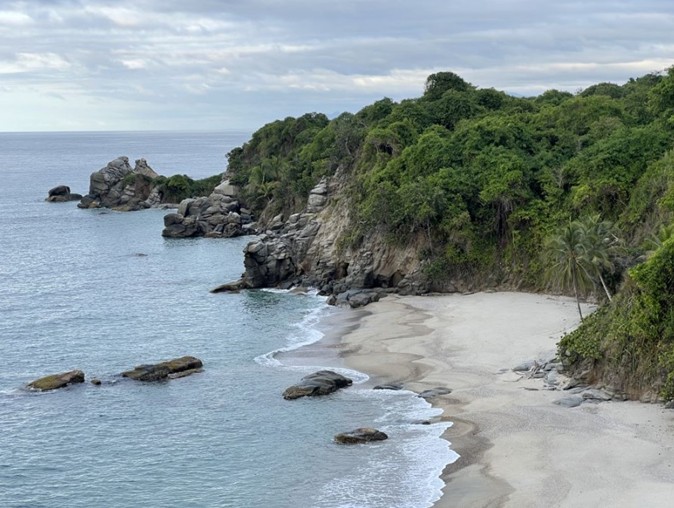 COP16 faces a significant challenge in safeguarding 30% of the world's land and marine areas.