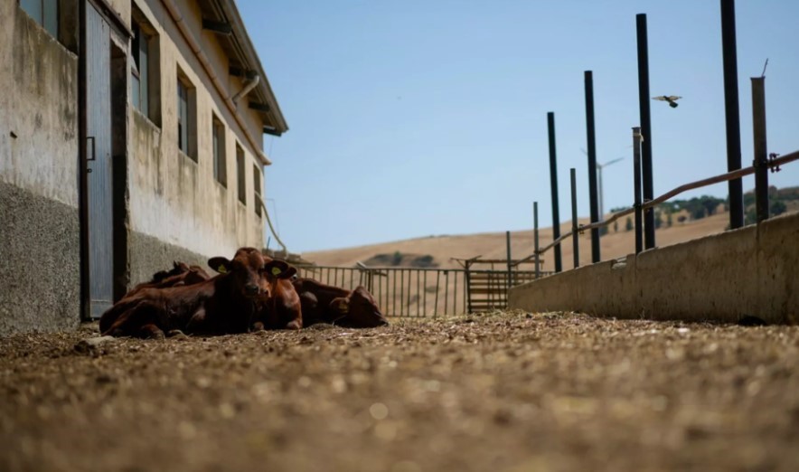 Climate Change Doubles Drought Risk in Sicily and Sardinia