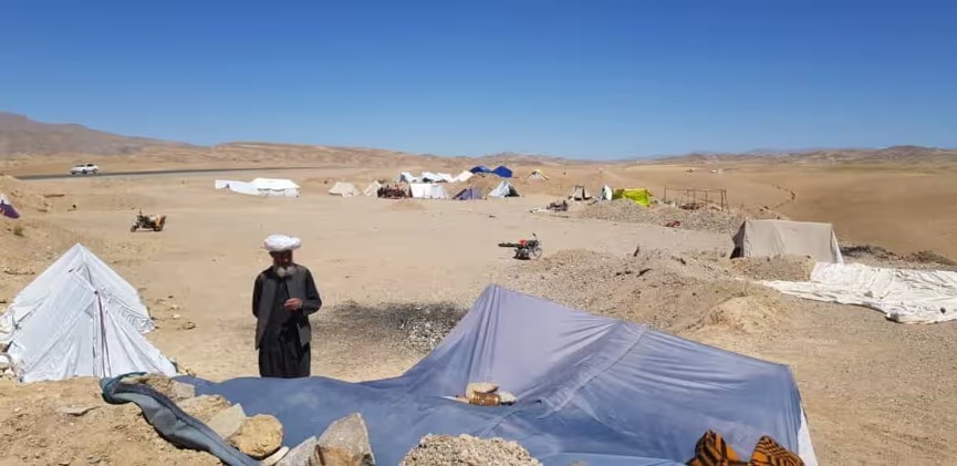 War, Deforestation, and Flooding: A Deepening Crisis in Afghanistan