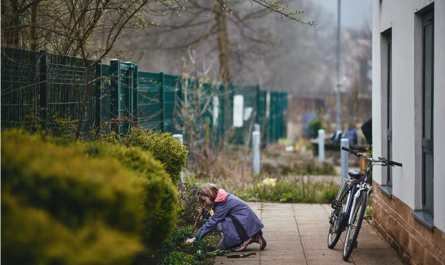 ‘The System, Not People, Is the Problem’: How a Radical Food Movement Grew Globally