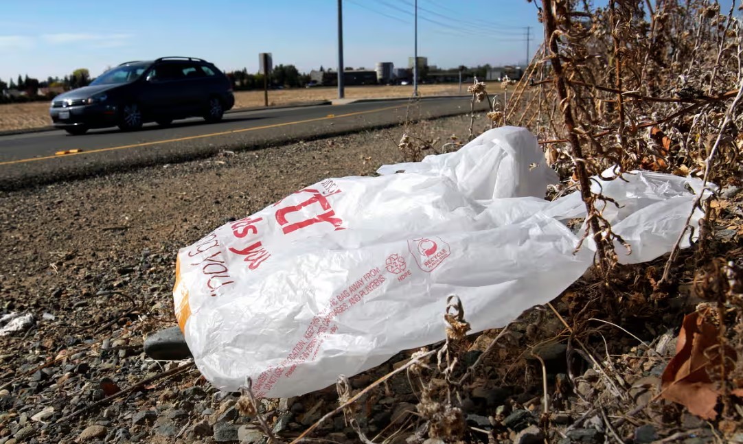 California’s Gavin Newsom signs law banning all plastic bags at grocery stores