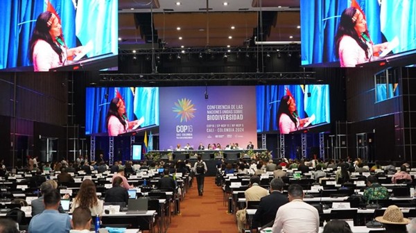 "At COP16, nations are at odds regarding the future of the global fund dedicated to nature conservation."