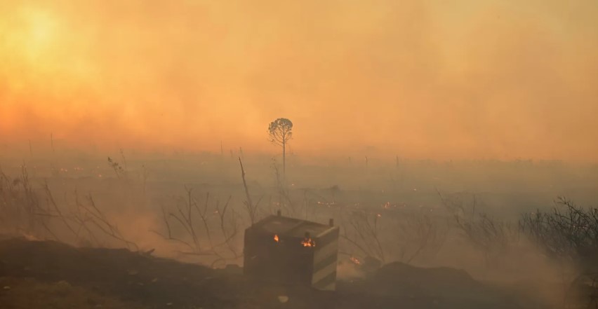 Europe’s Extreme Weather in 2025: From Deadly Heatwaves to Devastating Floods