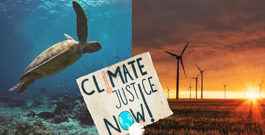 From Landmark Rulings to Clean Energy Growth: Climate Progress Stories from 2025