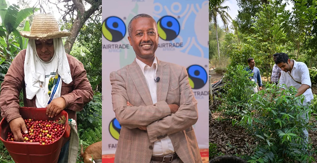 Coffee Under Pressure: Climate Change Threatens Harvests and Farmers’ Livelihoods