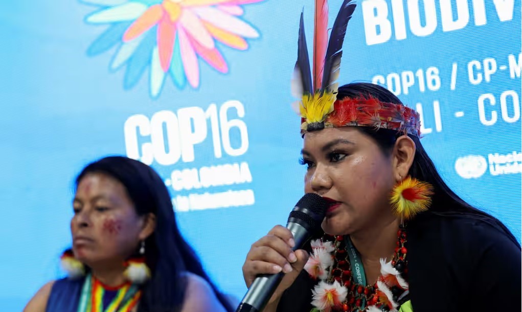 COP16 concludes in disarray and indecision, despite breakthroughs in biodiversity.