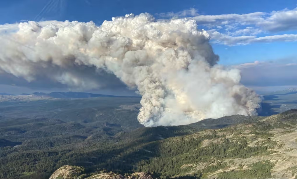 Two facets of the same issue’: officials emphasize the connections between climate change and the degradation of nature.