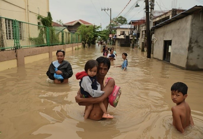 Adaptation Fund Head Highlights "Paradoxical" Funding Shortfall at COP29